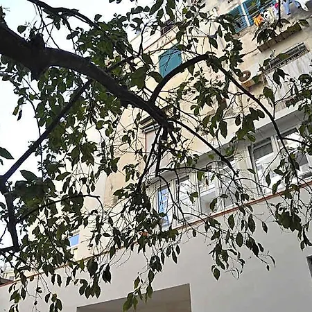 Alojamento de Acomodação e Pequeno-almoço A Due Passi